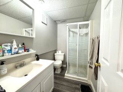 Bathroom with vanity, a shower stall, dark wood-style flooring, and a drop ceiling - 