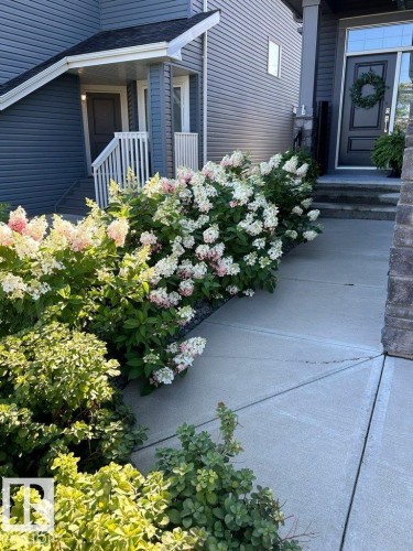 2107 Redtail Common, Edmonton, AB - Outdoor With Deck Patio Veranda