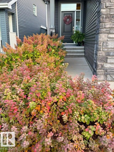 2107 Redtail Common, Edmonton, AB - Outdoor
