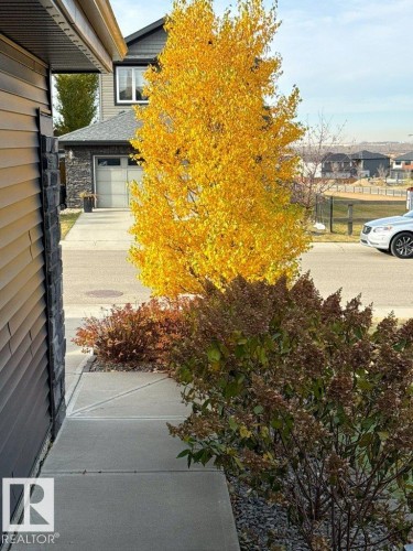2107 Redtail Common, Edmonton, AB - Outdoor