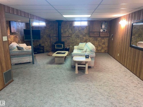 The property features a spacious room with carpeted flooring, wood paneling, and a stone accent wall - 14212 30 Street, Edmonton, AB - Indoor Photo Showing Basement