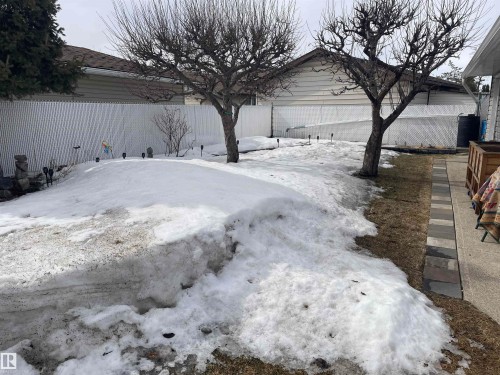 The property features an outdoor area with a white fence, mature trees, and a paved walkway - 14212 30 Street, Edmonton, AB - Outdoor