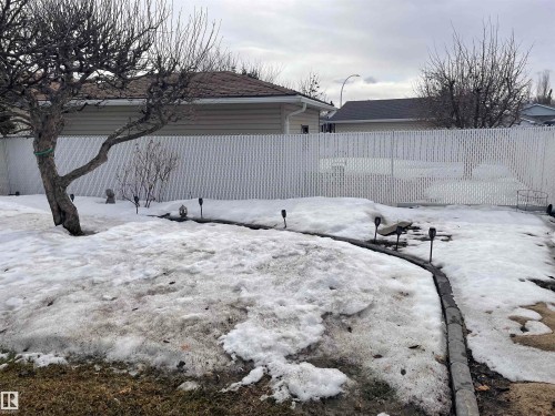 The property features a white chain link fence and a mature tree - 14212 30 Street, Edmonton, AB - Outdoor