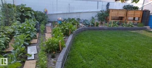 The property features a well-maintained lawn and a garden area with various plants - 14212 30 Street, Edmonton, AB - Outdoor