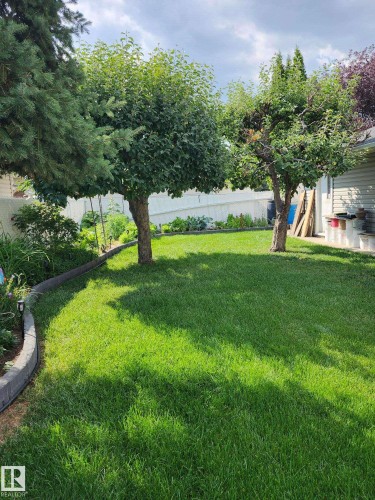 The property features a well-maintained lawn, mature trees, and a garden bed bordered by paving stones - 14212 30 Street, Edmonton, AB - Outdoor