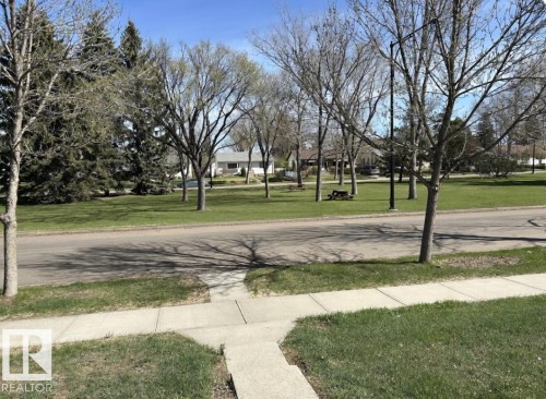 Lush green lawn with mature deciduous and evergreen trees, concrete sidewalk, and asphalt road - 13543 124A Ave, Edmonton, AB - Outdoor With View