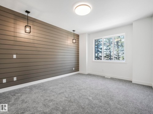 Accent wall with horizontal paneling, grey carpet flooring, and white trim - 6125 Crawford Drive, Edmonton, AB - Indoor Photo Showing Other Room