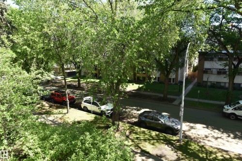 Mature trees and established landscaping frame the street, featuring a paved sidewalk and street parking - 21 10160 119 Street Nw, Edmonton, AB 