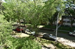 Mature trees and established landscaping frame the street, featuring a paved sidewalk and street parking - 