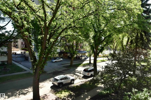 Streetscape featuring mature trees and established sidewalks, with multi-story buildings visible in the background - 21 10160 119 Street Nw, Edmonton, AB 