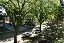 Streetscape featuring mature trees and established sidewalks, with multi-story buildings visible in the background - 