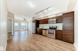 413 9519 160 Avenue  Edmonton, AB T5Z 0N1