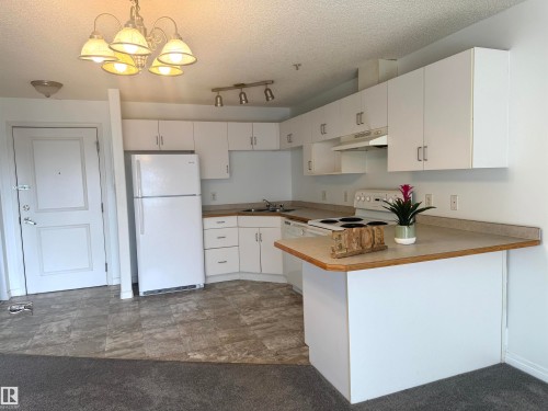 210 11325 83 Street, Edmonton, AB - Indoor Photo Showing Kitchen
