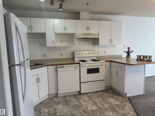 210 11325 83 Street, Edmonton, AB - Indoor Photo Showing Kitchen