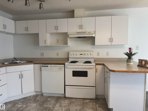 210 11325 83 Street, Edmonton, AB - Indoor Photo Showing Kitchen With Double Sink