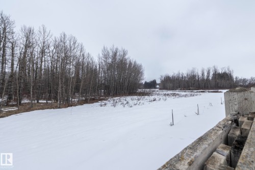 Expansive lot featuring a snow-covered field and a dense treeline - 14 Edgewater Terr North, St. Albert, AB - Outdoor With View