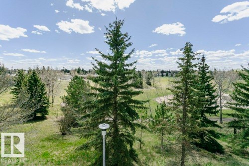 Expansive green landscape featuring mature evergreen trees and a golf course in the background - 323 16807 100 Avenue, Edmonton, AB - Outdoor With View