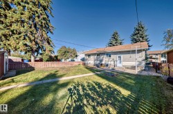 Expansive backyard featuring a green lawn, wood fence, and mature evergreen trees - 