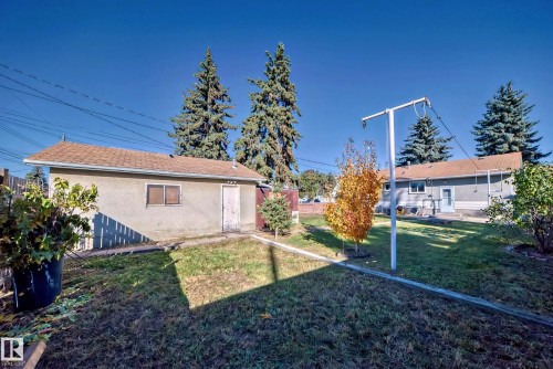 Expansive green space featuring a detached auxiliary building with a shingled roof, a clothesline structure, and mature evergreen trees - 13124 83 Street, Edmonton, AB - Outdoor