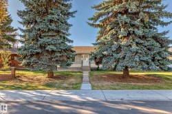 Exterior featuring a paved sidewalk, concrete pathway, two mature evergreen trees, and a front lawn - 