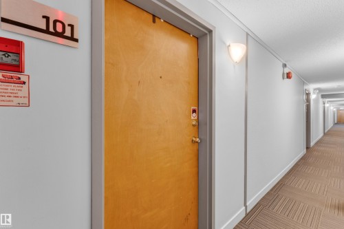 Entry door featuring a wood-finish, brass-tone hardware, and a security peephole - 101 10136 160 Street Nw, Edmonton, AB - Indoor Photo Showing Other Room