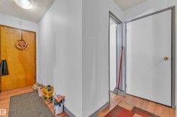 Hardwood-finish flooring extending through an entryway with a flush-mount ceiling light - 