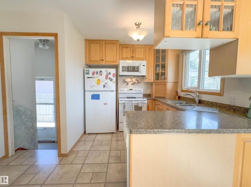 8651 27 Avenue, Edmonton, AB - Indoor Photo Showing Kitchen With Double Sink