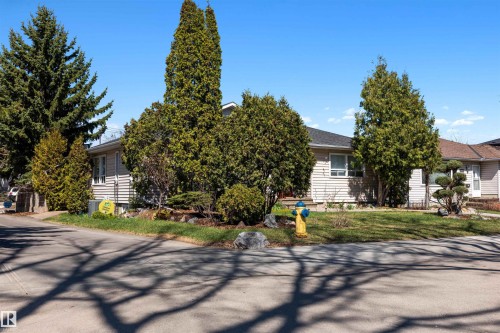 Ranch-style residence featuring horizontal siding, multiple mature evergreen trees, and established landscaping - 9602 85 Street, Edmonton, AB - Outdoor