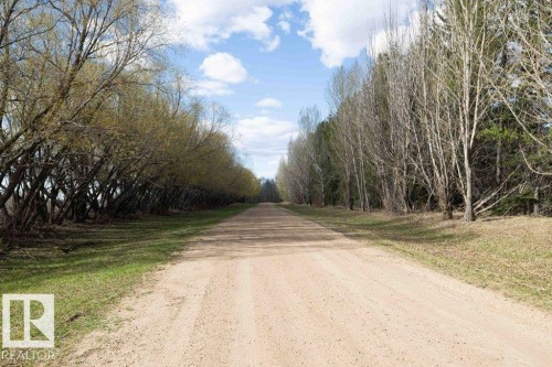 Expansive gravel road bordered by mature trees on both sides, featuring a natural canopy of foliage and a partially visible blue sky with clouds - 27132A Twp Rd 632, Rural Westlock County, AB - Outdoor With View
