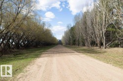Expansive gravel road bordered by mature trees on both sides, featuring a natural canopy of foliage and a partially visible blue sky with clouds - 