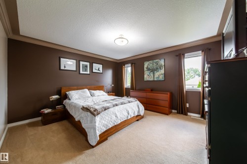 Spacious room featuring carpet flooring, crown molding, and two windows providing natural light - 4 Windrose Drive, Leduc, AB - Indoor Photo Showing Bedroom