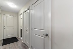 Entryway featuring wood-finish flooring, light neutral paint, and white paneled doors - 