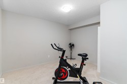 Interior space featuring light gray walls, textured ceiling, and light-colored carpeting - 