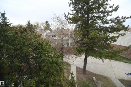 Too often, we encounter townhomes that stare directly into a neighbouring unit.  Not here.  The view out of the front of the unit shows the mature trees and privacy that years of pride and care have provided - 6706 36A Avenue, Edmonton, AB - Outdoor