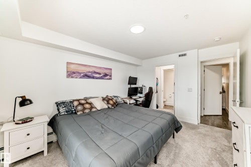This room features plush grey carpeting, white painted walls, and a modern ceiling light fixture - 307 9504 182 Street Nw, Edmonton, AB - Indoor Photo Showing Bedroom