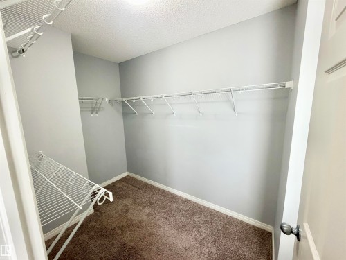 Spacious walk-in closet featuring wire shelving and hanging rods - 4310 Prowse Link Link, Edmonton, AB - Indoor With Storage