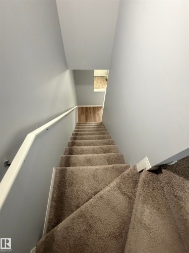 Carpeted staircase with light gray walls, white baseboards, and a white handrail - 4310 Prowse Link Link, Edmonton, AB - Indoor Photo Showing Other Room