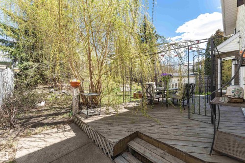 Expansive wood deck with a wrought iron pergola and mature trees - 1235 104 Street, Edmonton, AB - Outdoor With Deck Patio Veranda