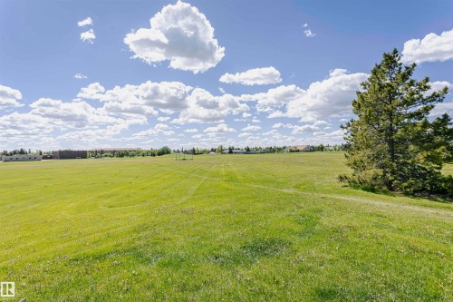 Expansive green space featuring a mature evergreen tree - 1235 104 Street, Edmonton, AB - Outdoor With View