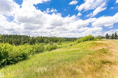 Expansive green space featuring varied grasses and dense tree lines - 1235 104 Street, Edmonton, AB - Outdoor With View