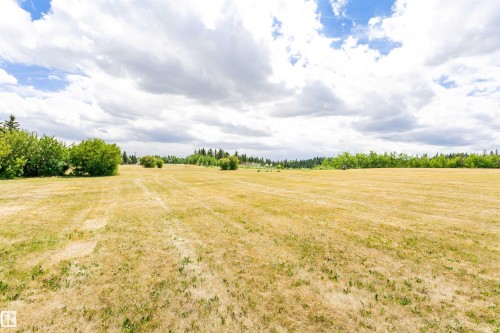 Expansive open field with natural landscaping and distant treeline - 1235 104 Street, Edmonton, AB - Outdoor With View