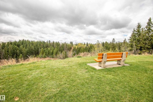 Expansive green space featuring a wood and concrete bench on a concrete pad, bordered by a dense forest of evergreen trees - 1235 104 Street, Edmonton, AB - Outdoor With View