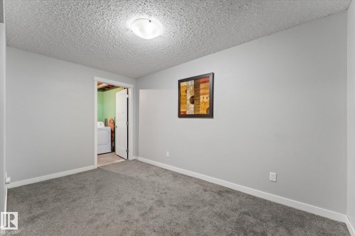 Carpeted room with light grey walls and white baseboards - 35 Mcleod Place, Edmonton, AB - Indoor Photo Showing Other Room