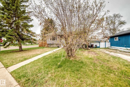 Landscaped front yard with mature trees, established shrubbery, and a concrete walkway - 3802 52 Street, Wetaskiwin, AB 
