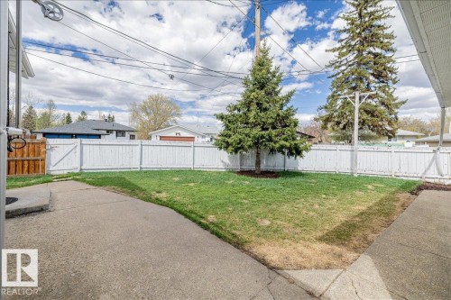 Fenced backyard featuring a mature evergreen tree, concrete patio, and a wooden gate - 24 Elizabeth Drive, Fort Saskatchewan, AB - Outdoor