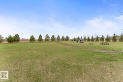 Expansive green space featuring mature evergreen trees and a dedicated recreational area - 