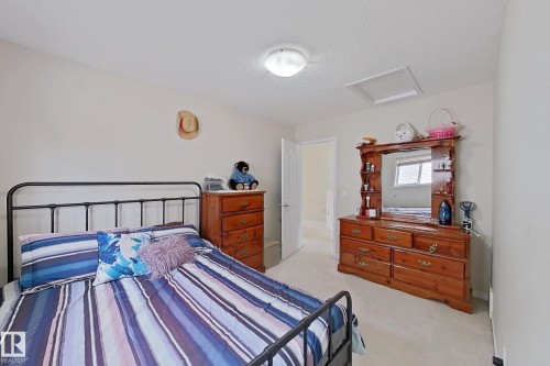 This room features light-colored walls and carpeted flooring, providing a neutral canvas - 3120 25 Avenue Nw, Edmonton, AB - Indoor Photo Showing Bedroom