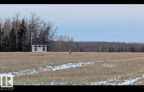 11029 Twp Rd 680, Rural Lesser Slave River M.D., AB 