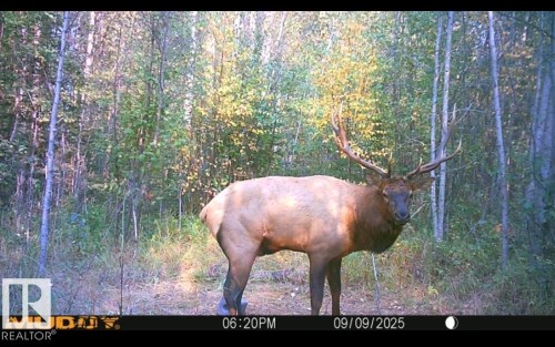11029 Twp Rd 680, Rural Lesser Slave River M.D., AB 