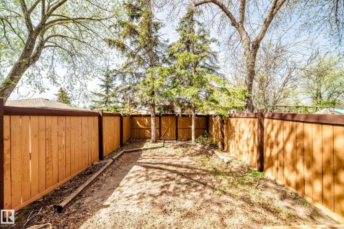 Fenced backyard featuring mature evergreen trees and a functional wooden gate - 2578 138A Avenue, Edmonton, AB - Outdoor